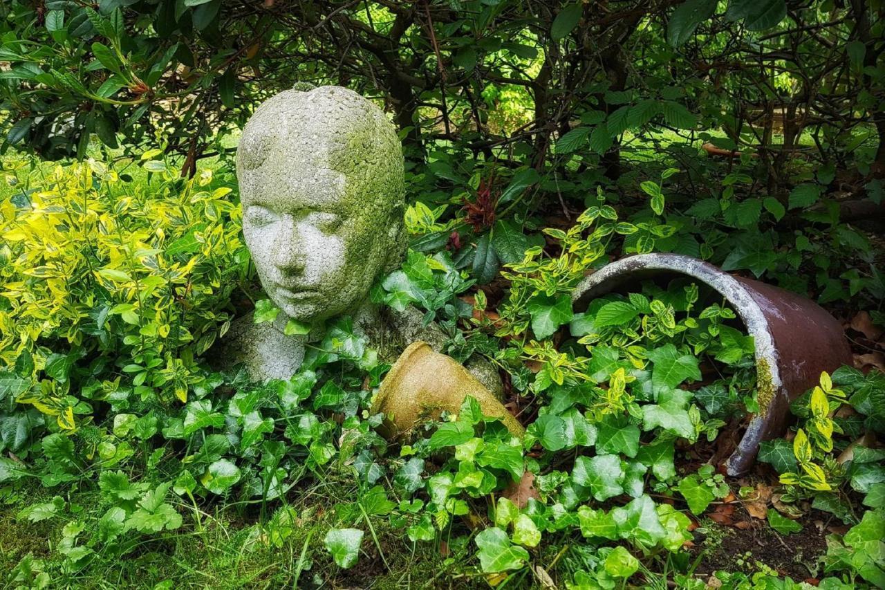 Ferienwohnung Am Atelier Horn Overath Zewnętrze zdjęcie